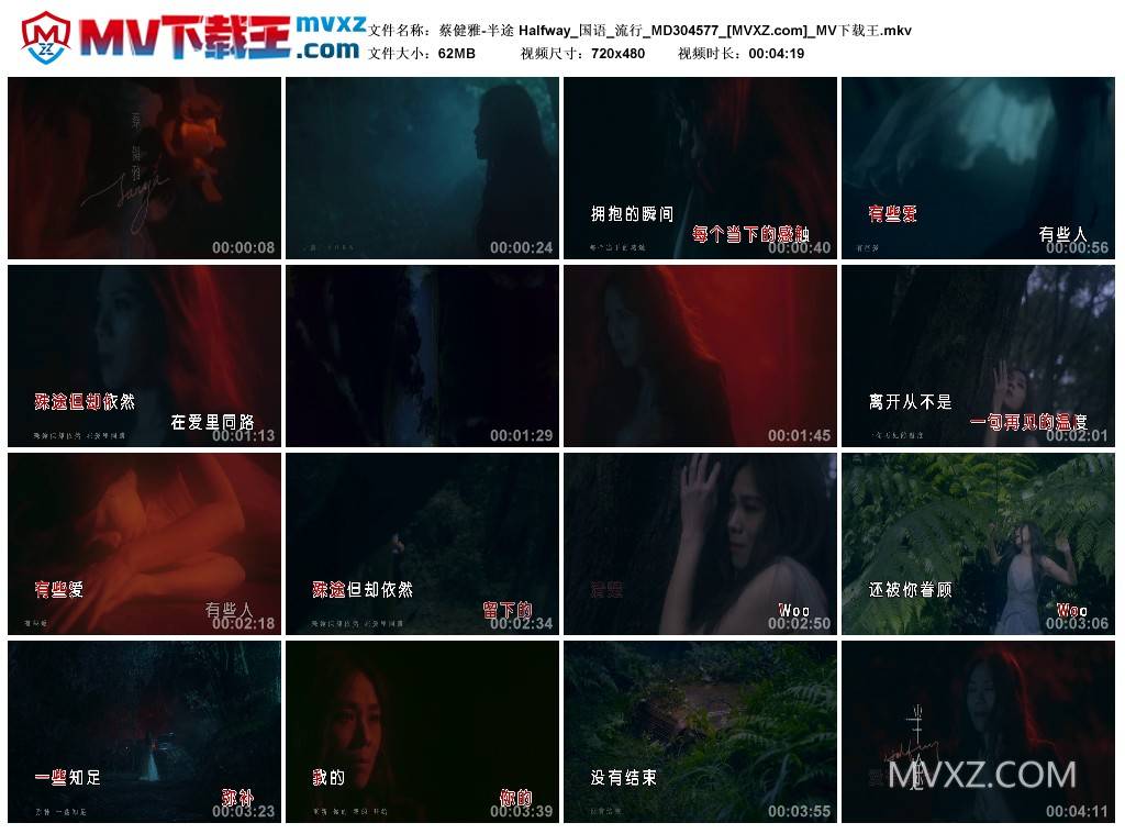 蔡健雅-半途 Halfway_国语_流行_MD304577